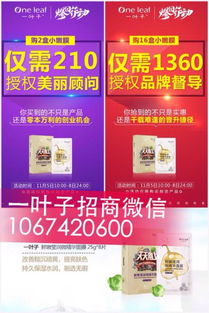 一葉子面膜代理全攻略 半門檻招募助力全國創(chuàng)業(yè)新機(jī)遇